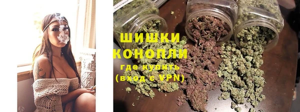 ALPHA PVP Богородицк