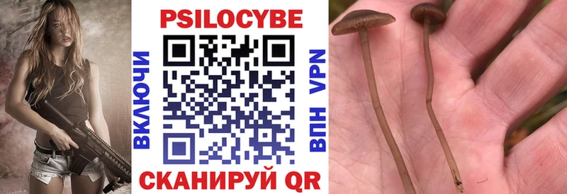 что такое   mega вход  Псилоцибиновые грибы прущие грибы  Гусев 