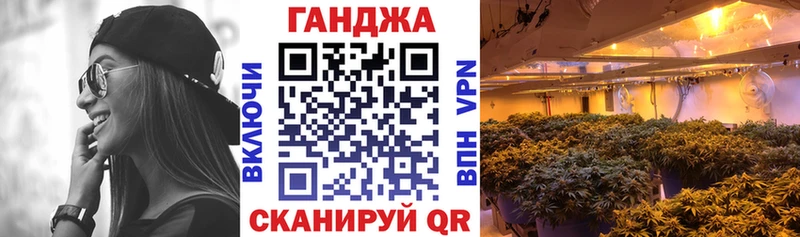 Бошки Шишки планчик  Гусев 
